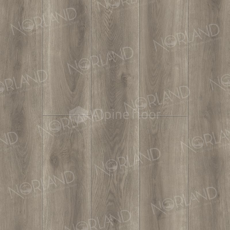SPC Ламинат "Norland" Templet (1220*196*8 мм) — купить в Ангарске